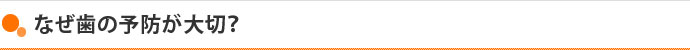 なぜ歯の予防が大切？