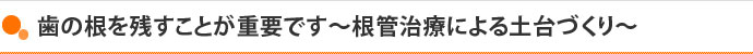 歯の根を残すことが重要です～根管治療による土台づくり～