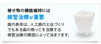 被せ物の機能維持には根管治療が重要