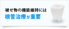 被せ物の機能維持には根管治療が重要